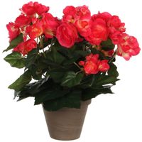 Donkerroze Begonia kunstplant 30 cm in grijze pot