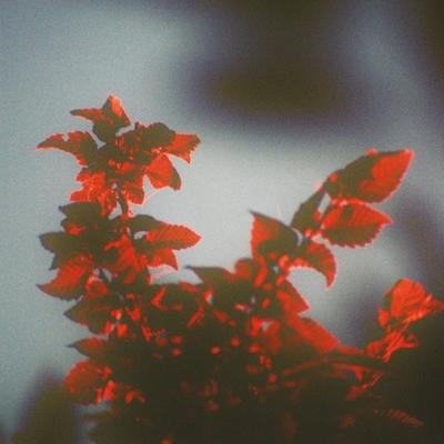 Miele Miele sil.air-clean flt.SFSA50 Wasmachine accessoire Grijs