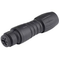 binder 99-9226-00-08 Ronde connector Koppeling, recht Totaal aantal polen: 8 Serie (ronde connectors): 620 1 stuk(s)