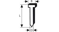 Nagel met verzonken kop SK64 20G, 32 mm verzinkt 2000 stuk(s) Bosch Accessories 2608200528 Afm. (l x b) 32 mm x 1.6 mm