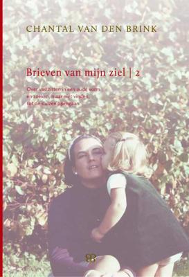 Brieven van mijn ziel - boek 2 - Chantal van den Brink - Hardcover (9789081817219)