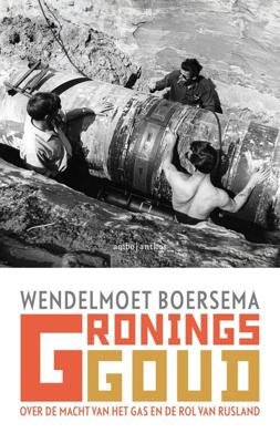 Gronings goud - Wendelmoet Boersema - eBook (9789026344664) Gronings goud - Wendelmoet Boersema - eBook (9789026344664)