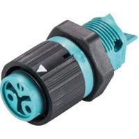 Wieland Electric 46.031.5051.6 Ronde connector Bus, inbouw Totaal aantal polen: 2 Serie (ronde connectoren): RST® MINI 1 stuk(s)