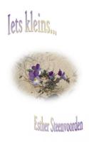 Iets kleins - Esther Steenvoorden - Paperback (9789461935182)