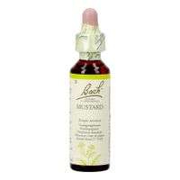 Bach Flower Remedie 21 Mustard 20ml