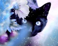 Diamond Painting Canvas Zwarte Kat - 40 x 50 cm - thumbnail