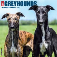 Greyhound Kalender 2021