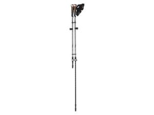 CRIVIT Nordic Walking-stokken (Lichtgrijs)