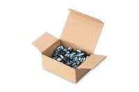 DN-19 SET-S (VE50)  - Machine screw M6x19,8mm DN-19 SET-S (quantity: 50) - thumbnail