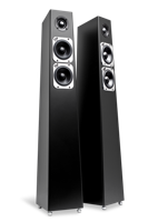 Totem Acoustic Vloerstaande Luidsprekers Tribe Tower (Set van 2)