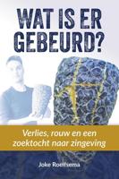 Wat is er gebeurd? - Joke Roelfsema - eBook (9789493198470)