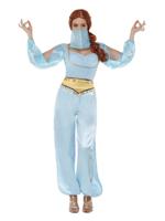 Arabian Princess Costume Light Blue