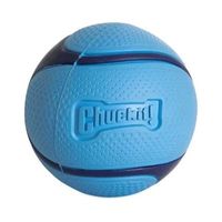 Chuckit Sniff fetch bal bacon geur blauw