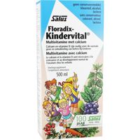 Floradix Kindervital