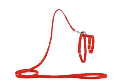 Beeztees - kattentuigje - nylon - rood - 130 cm x 10 mm Beeztees - kattentuigje - nylon - rood - 130 cm x 10 mm