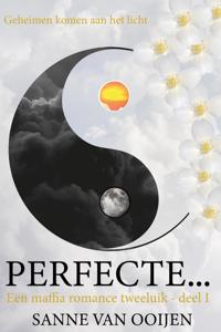 Perfecte... - Sanne Van Ooijen - ebook