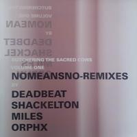 Remixes - 12 inch Vinyl;12 inch Vinyl (2092000232145)