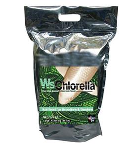 Probites Chlorella 3 kg Premium Koivoer - Stimuleert Groei & Kleur, Hoge Kwaliteit Voeding