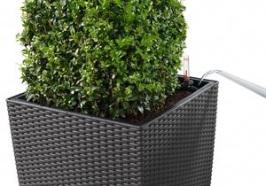 LECHUZA CUBE Cottage 50 All-in-One Set Binnen/buiten Plantenpot Vrijstaand Polypropyleen (PP) Wit