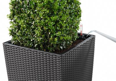 LECHUZA CUBE Cottage 50 All-in-One Set Binnen/buiten Plantenpot Vrijstaand Polypropyleen (PP) Wit