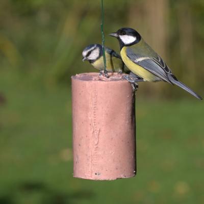 Premium pindacake met bessen 500 ml Premium pindacake met bessen 500 ml