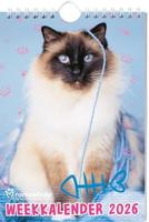 Rachael Hale Katten weekkalender - 2026