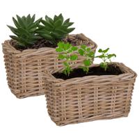 Planten/bloemen mand Levi - 2x - rotan - naturel - rechthoekig - 30 x 15 x 17 cm - plantenbak buiten