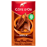 Cote d'Or Melk BonBonBloc chocolade reep Praline & Karamel 200g bij Jumbo