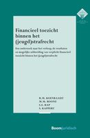 Financieel toezicht binnen het (jeugd)strafrecht - R.M. Koenraadt, M.M. Boone, S.E. Rap, S. Kappert - ebook