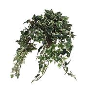 MICA Decorations Hanging Plants Groen in Pot Bloemen, Meerkleurig, L45xW25xH25cm