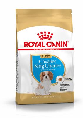 Royal Canin Puppy Cavalier King Charles hondenvoer 1,5 kg Royal Canin Puppy Cavalier King Charles hondenvoer 1,5 kg