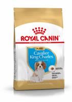 Royal Canin Puppy Cavalier King Charles hondenvoer 1,5 kg