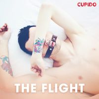 The Flight - thumbnail