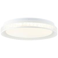 Brilliant G97190/70 Burlie LED-plafondlamp LED 24 W Transparant, Wit