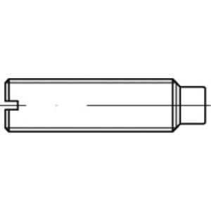 TOOLCRAFT TO-5435112 Draadpen M12 50 mm 50 stuk(s)