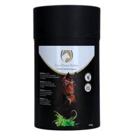 Excellent Equi Parex Pellets - Draagt bij aan een gezonde maag- en darmflora - Geschikt voor paarden - 1,5kg