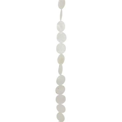 Hangende Decoratie Capiz Schelpen Streng Witte Rondjes Hangende Decoratie Capiz Schelpen Streng Witte Rondjes