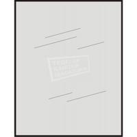 Wiesbaden Spiegel 5 mm Rechthoek 57x40