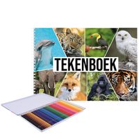 A4 wilde dieren schetsboek/ tekenboek/ kleurboek/ schetsblok wit papier met 36x kleurpotloden