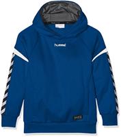 Hummel Heren Auth. Charge Poly Hoodie Hoodie