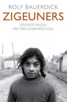 Zigeuners - Rolf Bauerdick - ebook