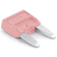 TRU COMPONENTS 8551256 Ministeekzekering (auto) 4 A Roze 1 stuk(s)