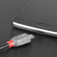 LINDY USB-kabel USB 2.0 USB-C stekker, USB-micro-B stekker 0.50 m Zwart, Grijs 36890 - thumbnail