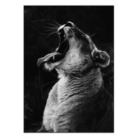 Acoustic Art Lion 100x140 Zwart