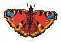 Paul Günther 1103 - Kindervlieger met vlindermotief, eenlijnige vlieger van robuuste PE-folie, voor kinderen vanaf 4 jaar met trekstang en koord, ca. 92 x 62 cm groot