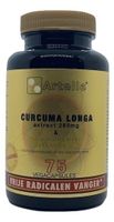 Curcuma longa extract - thumbnail