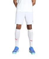 PUMA teamGOAL Korte broek