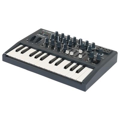 Arturia MicroBrute MIDI toetsenbord 25 toetsen Zwart USB