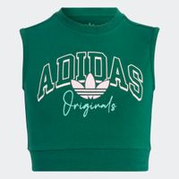Collegiate Graphic Pack Croptop