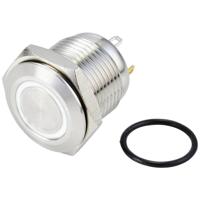 TRU COMPONENTS TC-10090924 GQ16F-10E/J/W/24V/S Vandalismebestendige drukschakelaar 48 V/DC 2 A 1x uit/(aan) Moment Wit IP65 1 stuk(s)